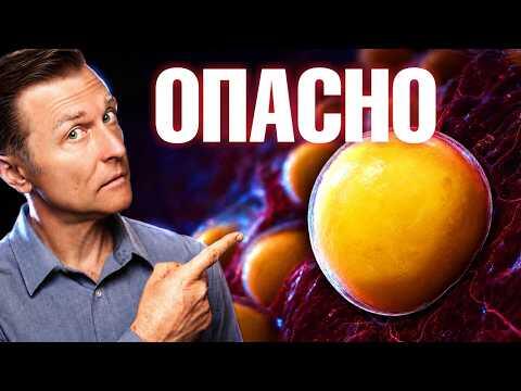 Правда, которую прятали в подвале 40 лет!😱 Масла из семян
