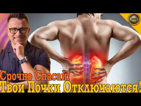 Твои почки бесшумно отключаются! Срочно спасай!