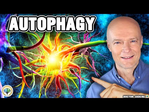 #1 Absolute Best Way To Extend A Fast & Boost Autophagy