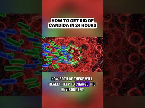 The FASTEST Way to Get Rid of Candida (Do This Now) The FASTEST Way to Get Rid of Candida (Do This Now)