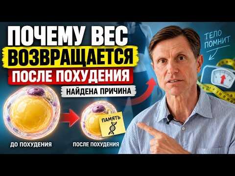 Почему вес возвращается после похудения. Найдена причина. Почему вес возвращается после похудения. Найдена причина.