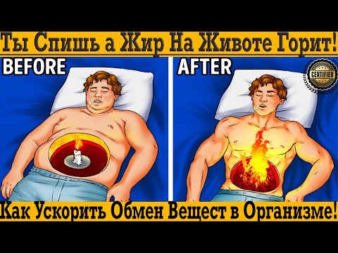 Жир Горит Пока Ты Спишь! Добавки и витамины для разгона МЕТАБОЛИЗМА и УСКОРЕННОГО ПОХУДЕНИЯ!!!