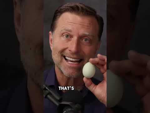 Eat 2 Eggs a Day for 2 Weeks and See What Happens Eat 2 Eggs a Day for 2 Weeks and See What Happens