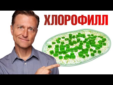 Польза хлорофилла. Вот почему нужно есть овощи и зелень! ✅