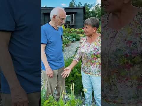 Чеснок, часть 5 Чеснок, часть 5