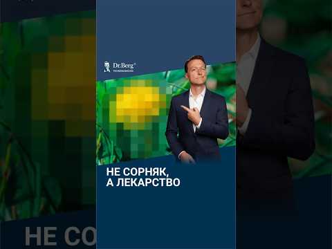 Не сорняк, а ЛЕКАРСТВО! Польза одуванчика, о которой вы не знаете! Не сорняк, а ЛЕКАРСТВО! Польза одуванчика, о которой вы не знаете!