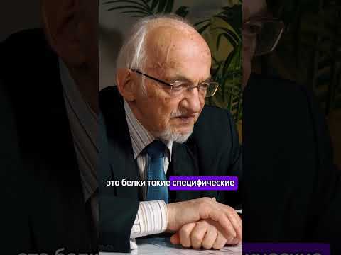Ферменты