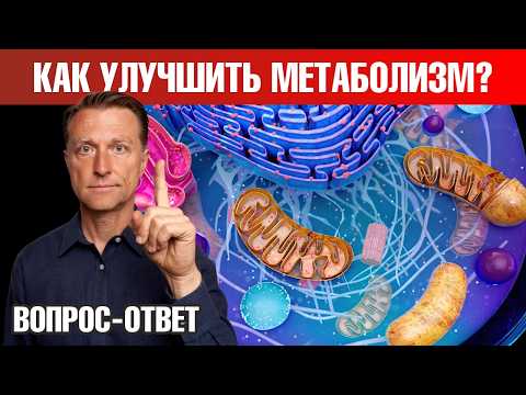 Коренная причина проблем с метаболизмом – это...