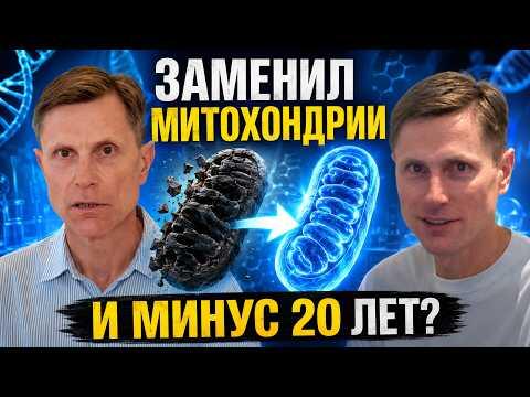 Митохондриальная терапия: заменил митохондрии — и стал как новенький? Митохондриальная терапия: заменил митохондрии — и стал как новенький?