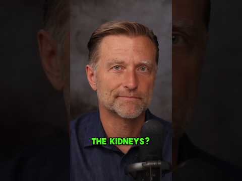 Top Foods That Clean Out Your Kidneys Naturally