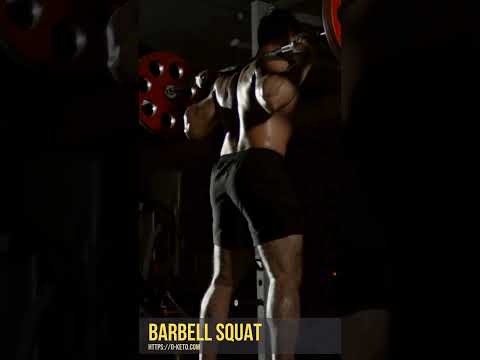 Barbell Squats. Description and Technique of Execution Barbell Squats. Description and Technique of Execution