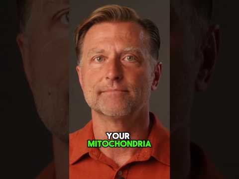 How to Never Get Cancer How to Never Get Cancer