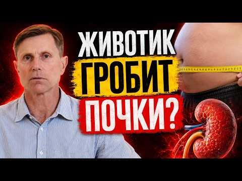 Как обычный животик ведет к отказу почек Как обычный животик ведет к отказу почек