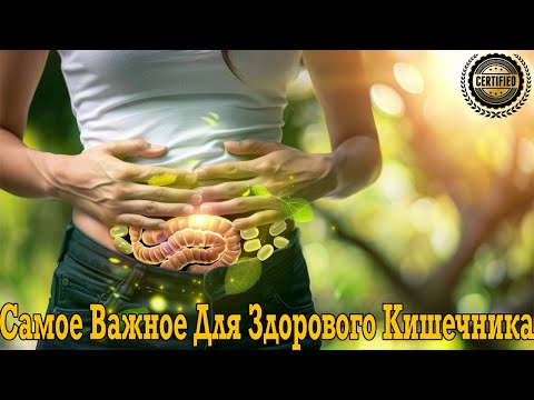 Как восстановить кишечник без пробиотиков и лекарств!