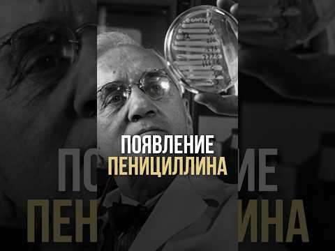 Появление пенициллина Появление пенициллина
