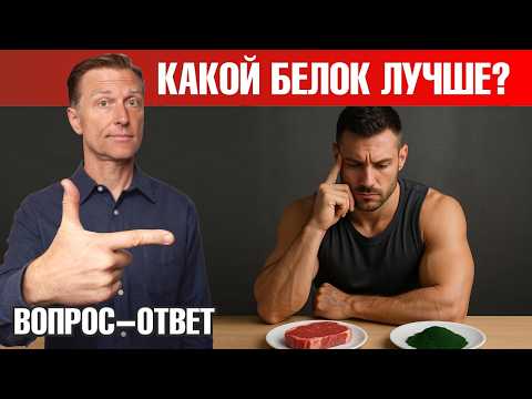 Правда о белке: спирулина обгоняет мясо?!😲