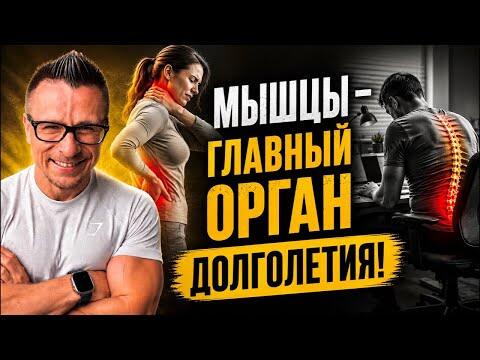 МЫШЦЫ — ГЛАВНЫЙ ОРГАН ДОЛГОЛЕТИЯ. Почему мы стареем быстрее без движения МЫШЦЫ — ГЛАВНЫЙ ОРГАН ДОЛГОЛЕТИЯ. Почему мы стареем быстрее без движения