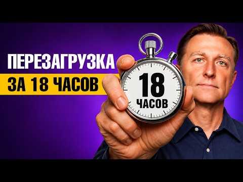 Почему голодание — один из самых мощных инструментов здоровья?🧐 Почему голодание — один из самых мощных инструментов здоровья?🧐