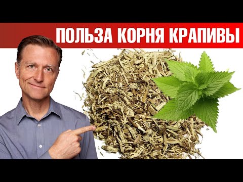 Корень жгучей крапивы – суперсредство от артрита и не только!🔥