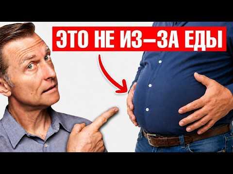 Вздутие после еды: дело НЕ в еде, а в пищеварении😲 Вздутие после еды: дело НЕ в еде, а в пищеварении😲